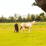 Spacious Nature Escape, House For 6 Near Amsterdam & Sea * Opmeer