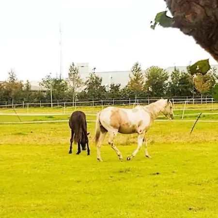 Spacious Nature Escape, House For 6 Near Amsterdam & Sea * Opmeer