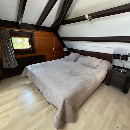 Spacious Nature Escape, House For 6 Near Amsterdam & Sea