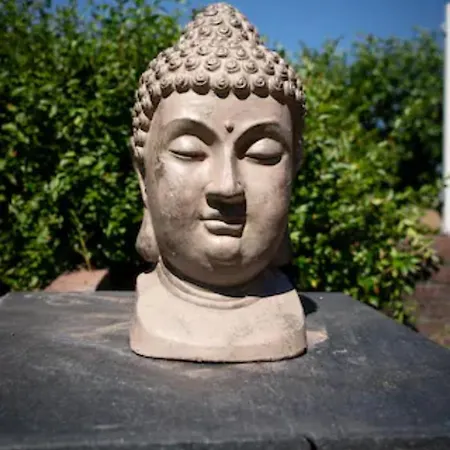 Spacious Nature Escape, House For 6 Near Amsterdam & Sea * Opmeer