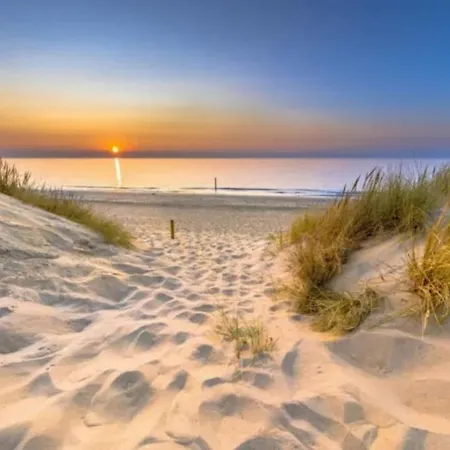 Spacious Nature Escape, House For 6 Near Amsterdam & Sea